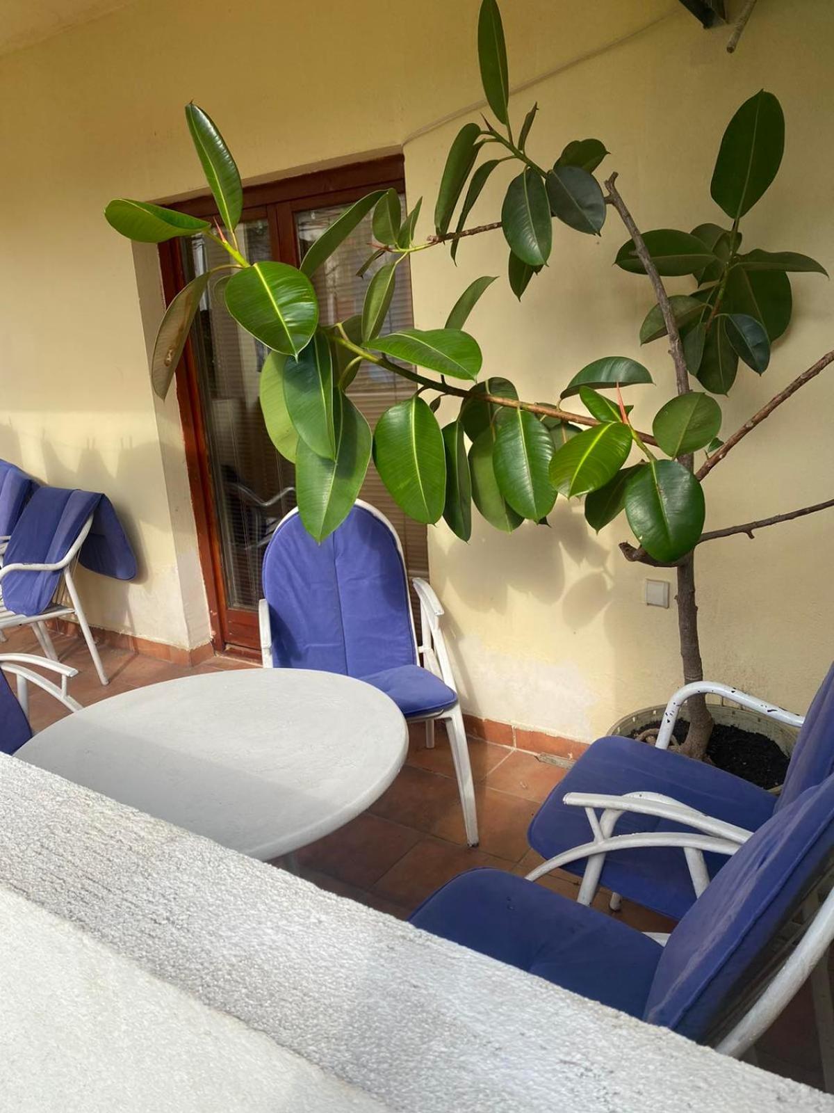 Apartmani Zelenika Herceg Novi Quarto foto