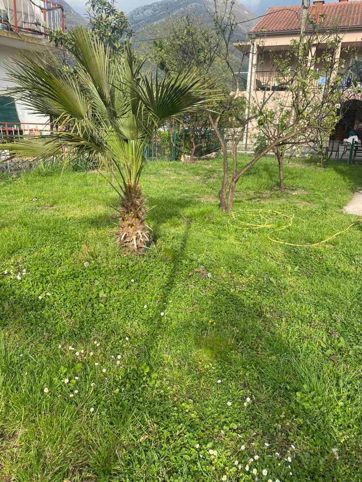 Apartmani Zelenika Herceg Novi Quarto foto