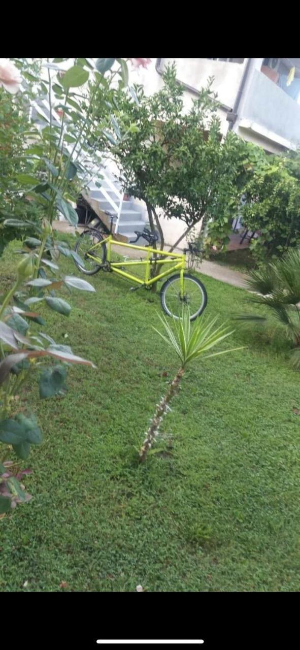 Apartmani Zelenika Herceg Novi Exterior foto